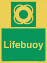 lifebuoy-with-symbol~
